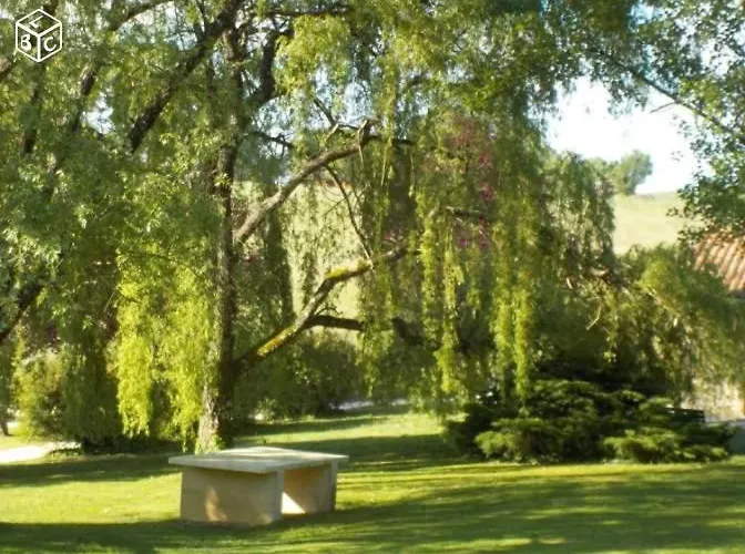 Coquelicot Cadre Idyllique Au Calme