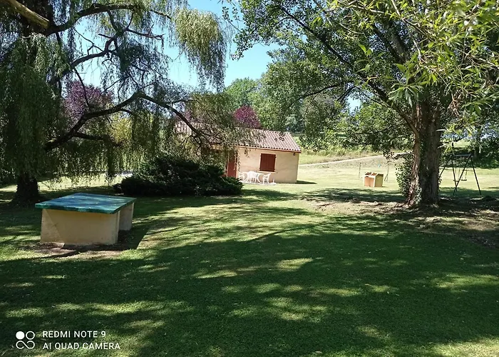 Coquelicot Cadre Idyllique Au Calme